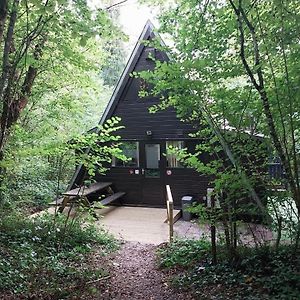 De Bosannemoon In Durbuy
